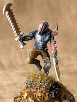 Dark Eldar Hagashin by Rounder