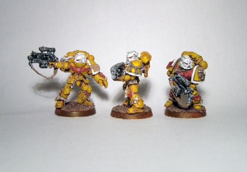 Imperial Fists Sternguard by Nidhogg