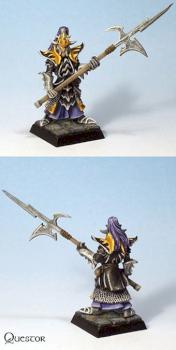 Dark Elf Black Guard by Questor