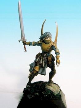 Knight Templar of HOD by DavBan