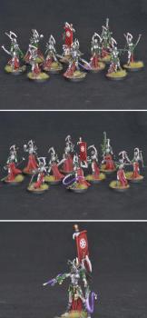 Dark eldar haemoxytes by Shi Vral