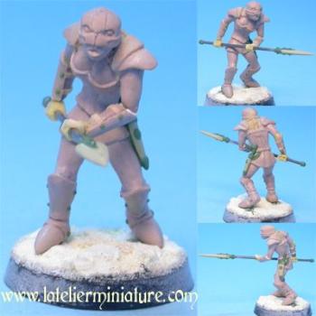 Guerrière Darane by tieu