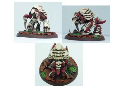 Tyrant Guard by william7