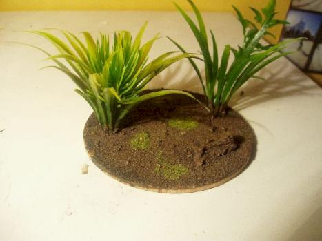 mini bush by marcusra