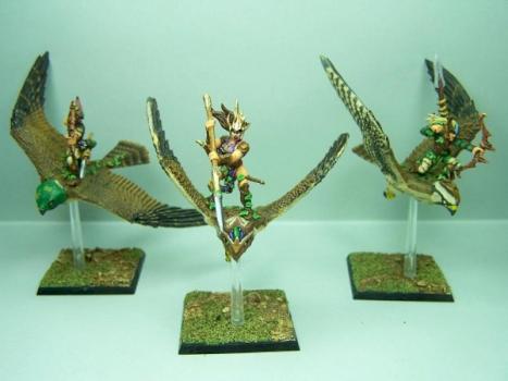 Guerriers Faucons Elfes Sylvains by sceolan