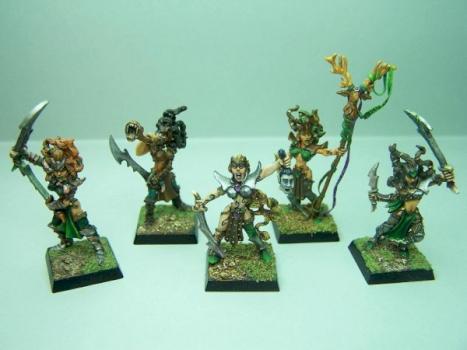 Danseuses de Guerre Elfes Sylvains by Valie