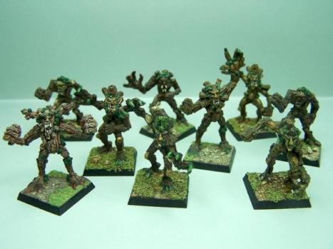 Dryades Elfes Sylvains (2ième unité) by sceolan