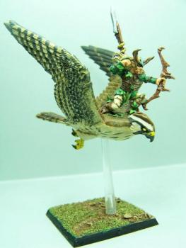 Guerrier Faucon Elfe Sylvain 1 by sceolan