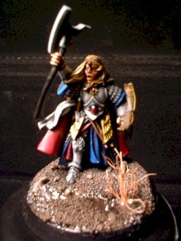 elven hero by lord donkey