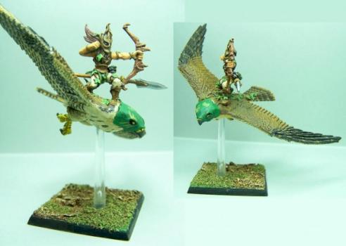 Guerrier Faucon Elfe Sylvain 2 by sceolan