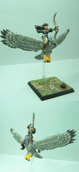Héro Archer Elfe Sylvain sur grand Aigle by sceolan
