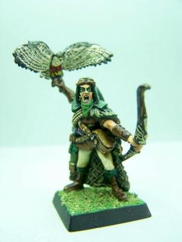 Champion/Héro Forestier by sceolan