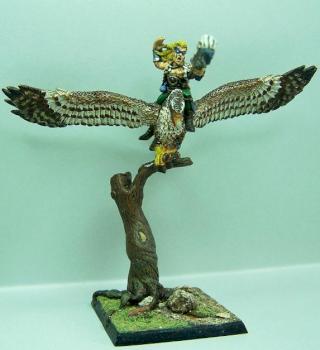 Mage Elfe Sylvain sur grand Aigle by sceolan