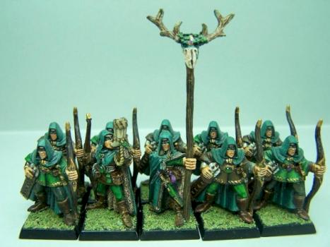 Archers Elfes Sylvains by sceolan