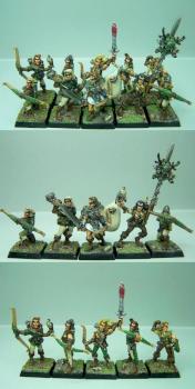 Archers/Eclaireurs Elfes Sylvains by sceolan