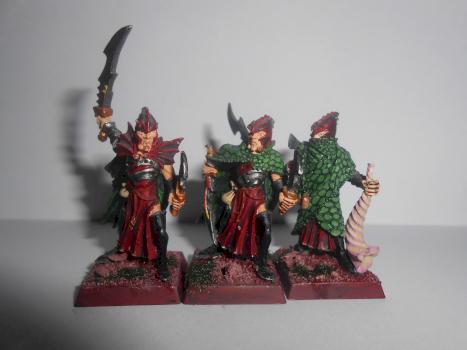 Dark Elf Corsairs by Shana12