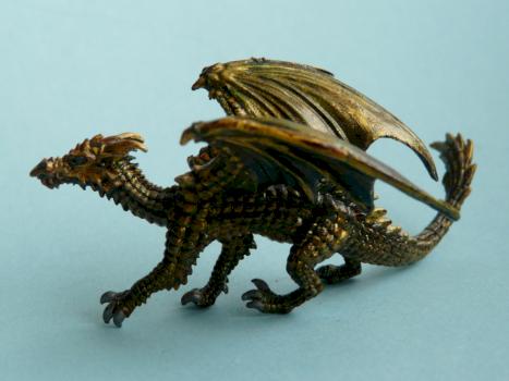 Young Dragon by Eilean