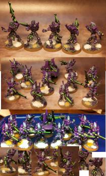 Eldar Guardian Defenders by Darkdreamer