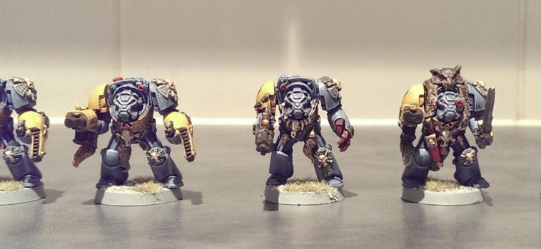 wolf guard terminators by WitchesBlade