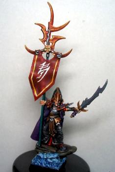 Dark Elf Standard Bearer by tabithatan