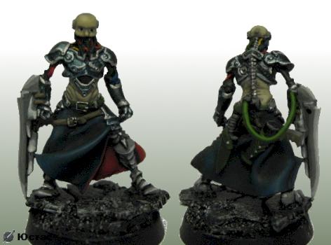 40k converted eversor assassin by Ustas