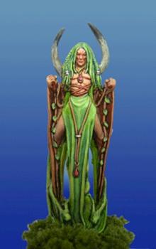 Aeda by amrpress