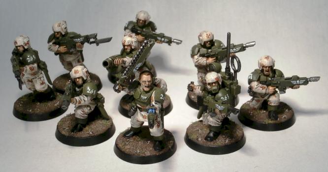 Squad 265, Imperial Guard by Elmo9141