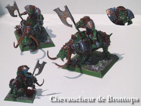 Chevaucheur de Brontops by Didoo 13