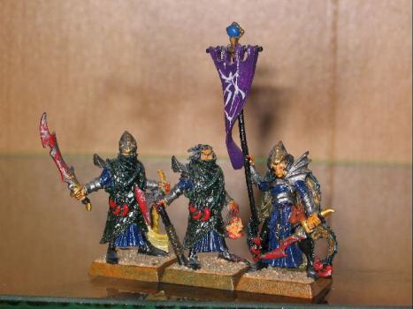 etat major corsaires elfe noir by yann l elfe