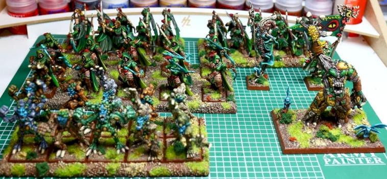 Wood Elves Army by karni