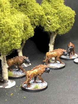 Conan (Hyena's) by AdamPeacock