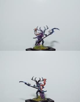 Branchwitc by Aneres