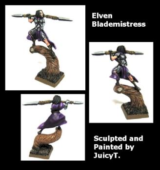 Elven Blademistress by juicytomatoes