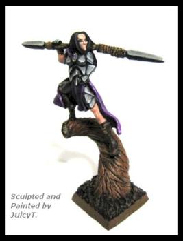Elven Blademistress (Another angle) by juicytomatoes