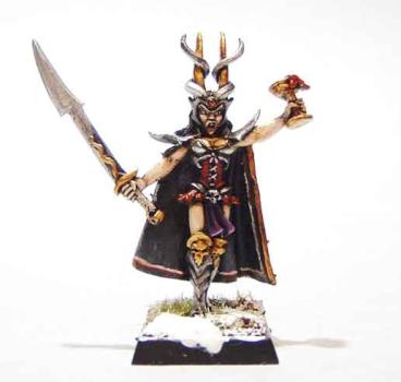 Dark Elf Hag Queen by Cerus