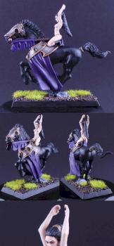 Druchii Sorceress on Dark Steed by jarvax