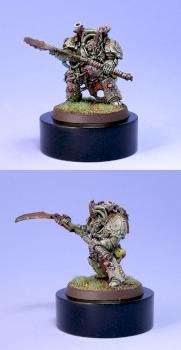 Typhus by Jarrett