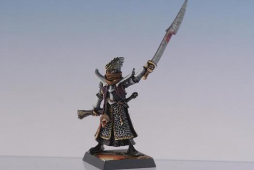 noble elfes noirs by paulvictor