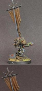 Chaos marines nurgle standard bearer by camelson