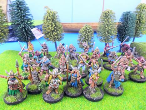 28mm Foundry Viking Valkyrie Warband suit Saga etc.. by avalonindustries2040