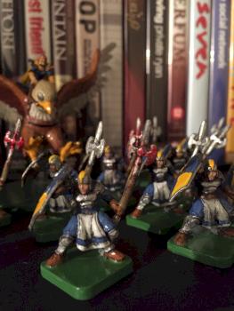 Citadel Guards - Battlelore 2nd Edition by Dude760