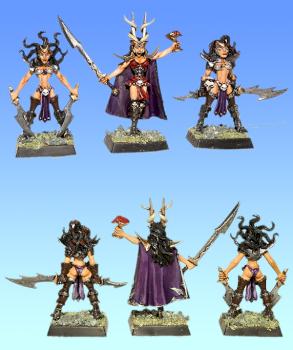 Dark Elves Witches and Hag, from cauldron of blood by Baboolam