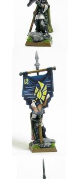 High Elf Battle Standard Bearer by tofu
