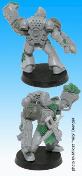 Space Wolves Grey Hunter by zarms