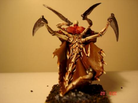 Sasia Samaris by bert