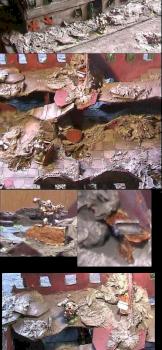 my first cityfight ruin by fraggL
