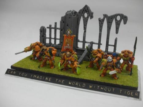 Space Tiger Marines Showcase 2009 by Mad Cat