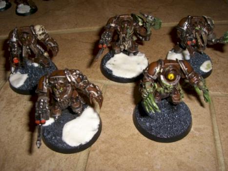 Nurgle Terminators by krazynadechukr