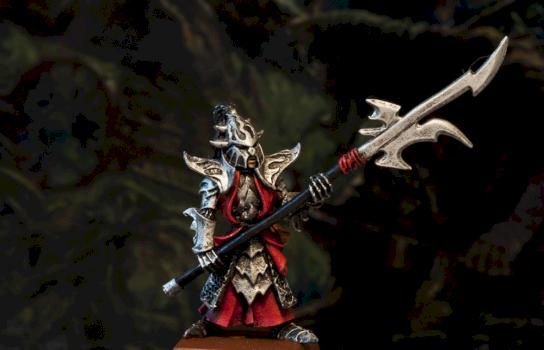 Dark Elf Black Guard by Ceregon