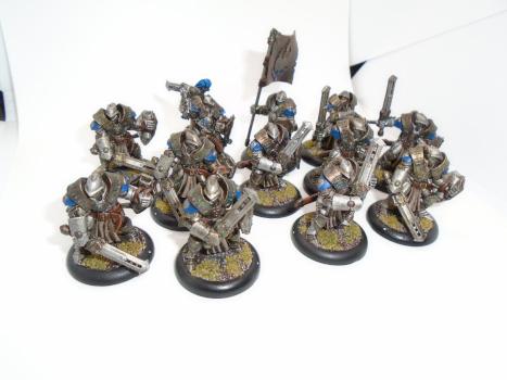 Warmachine Painted Cygnar Sword Knights + Sword Knight Officer & Standard Unit by w013ejb